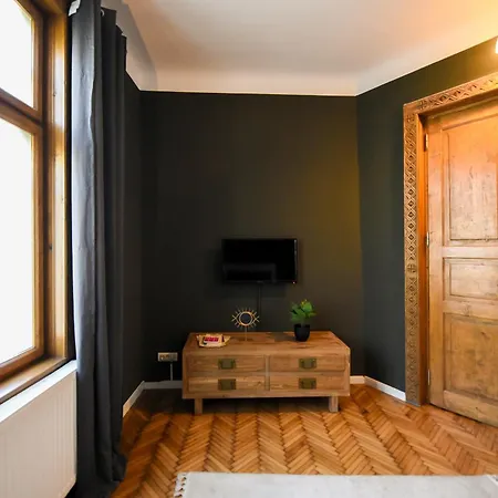 Brancovenian Wonder - 3br Near Cismigiu Park * 布加勒斯特