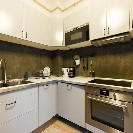 Brancovenian Wonder - 3br Near Cismigiu Park Appartement Boekarest