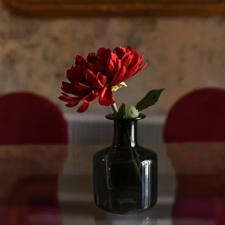 Brancovenian Wonder - 3br Near Cismigiu Park * Bucharest